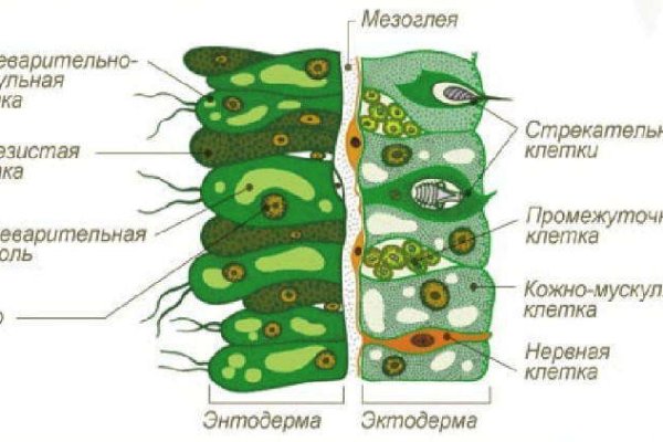 Онион сайты